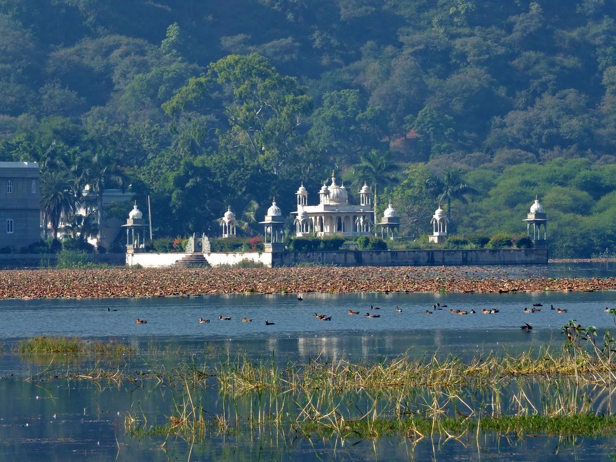 Udai Bilas Palace Dungarpur Dış mekan fotoğraf